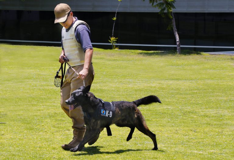Autónoma de Aguascalientes emprende piloto de binomios caninos para prevenir riesgos en materia de seguridad