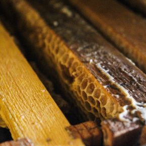 19369427438_f7e0a84cd5_z