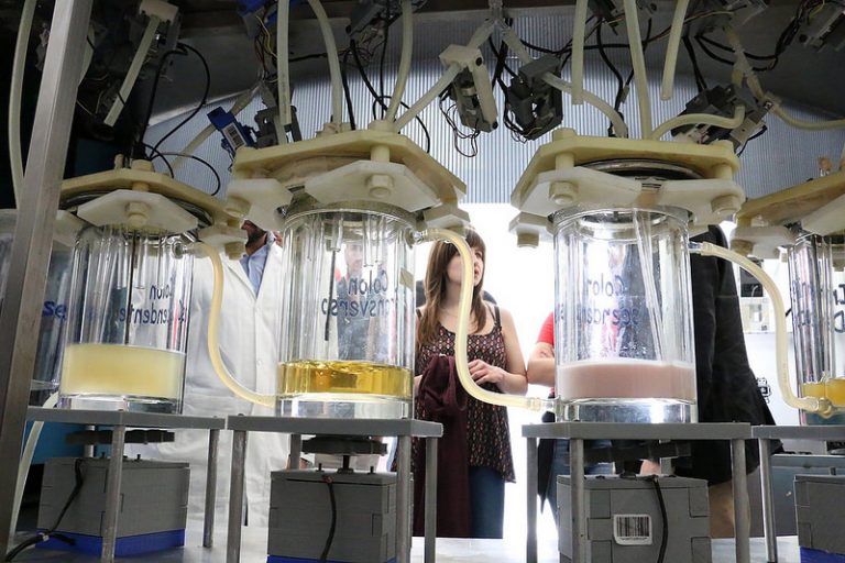 Reconocen en Alemania tecnología mexicana por el desarrollo de simulador de tracto digestivo humano