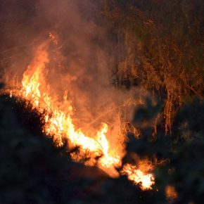 31248885474_3a284e8789_z