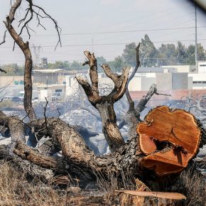 33596071504_53a0221b3a_z