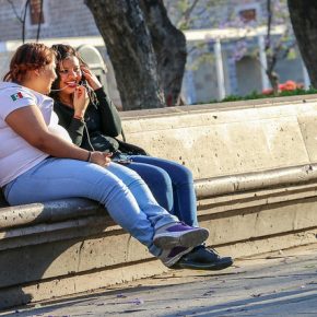 33627621682_2b835c7059_z