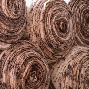 36575681235_b8ee65ce39_z