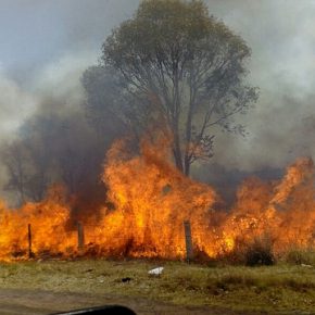 40213801305_172de2b782_z