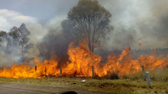 40213801305_172de2b782_z