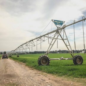 40326244011_22a615c203_z