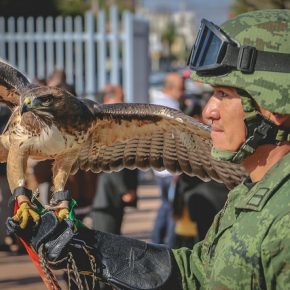 40467860821_da9879dbd3_z