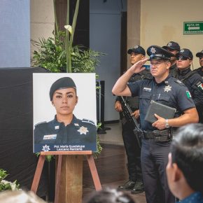 41539982465_afe3610aed_z