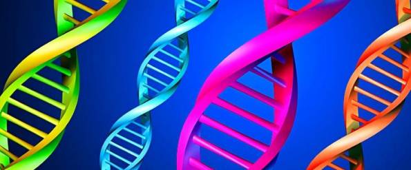 50 años de la Asociación Mexicana de Genética Humana