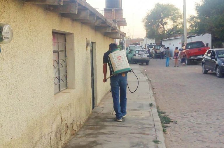 Buscan eliminar plaga de colémbolos en comunidad de Asientos, Aguascalientes