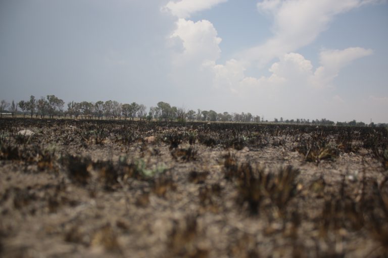 Tres muertes por ola de calor en Cuenca del Papaloapan, Oaxaca