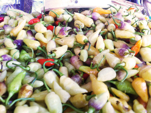 Alimentos tradicionales y nutrición genómica