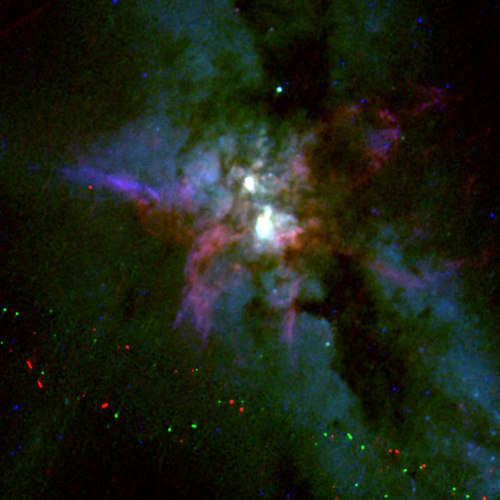 El cazador de la mariposa cósmica