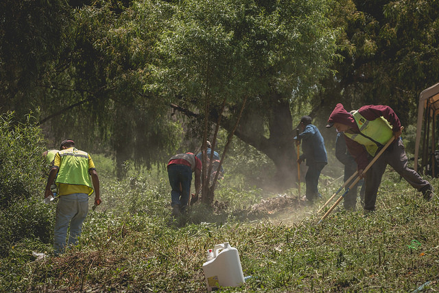 Celebración Día Mundial del Medio Ambiente en Aguascalientes