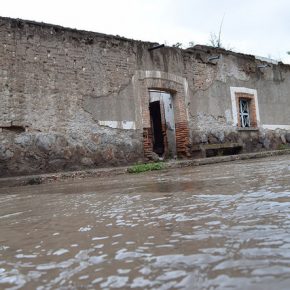 29119791748_00cc62a1bc_z