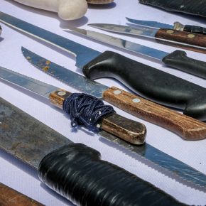 36437778511_9f0a00f922_z