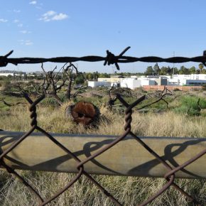 41632809724_8b65e0bfae_z