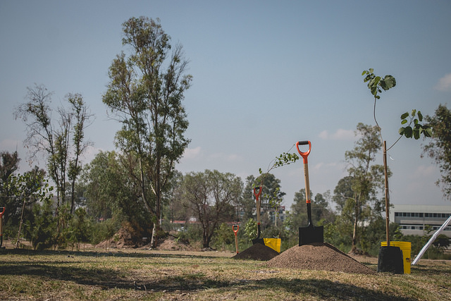 Son aprobadas en Aguascalientes reformas a la Ley de Protección Ambiental