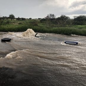 43009599961_0bb2d2b782_z