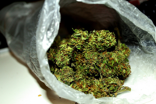 Analizan relación entre molécula de cannabis y la memoria