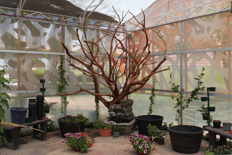 Rehabilitan el Mariposario y Orquideario del Museo Descubre, en Aguascalientes