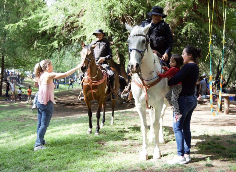 Policía Montada Municipal de Aguascalientes cuenta con 13 años de servicio