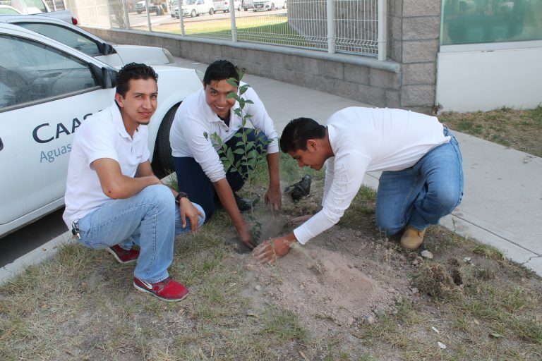 El Día Mundial del Medio Ambiente, una oportunidad para reducir la contaminación