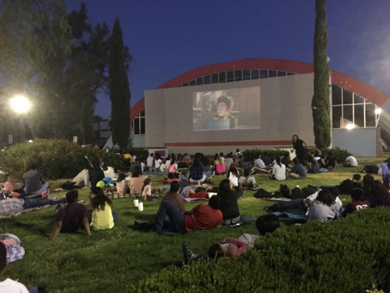 Bicicinema en Aguascalientes: cine al aire libre con grupos de amigos y familias