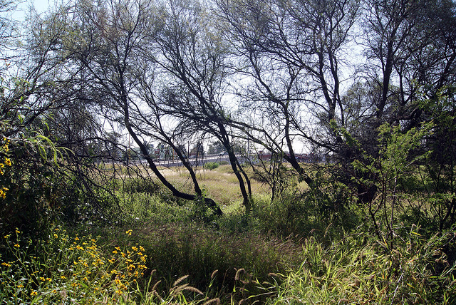 Está definido el polígono de La Pona que pertenecerá al municipio de Aguascalientes