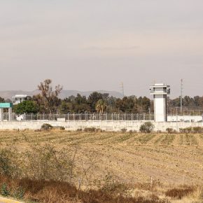 24881020580_7d73b7b9bd_z