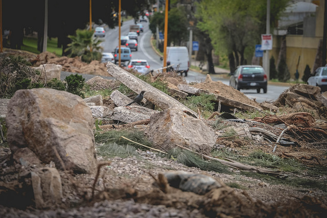 Reglamento de Medio Ambiente del Municipio de Aguascalientes lleva atorado ocho meses en comisiones del Cabildo