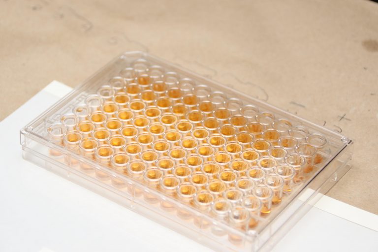 Autónoma de Aguascalientes busca mecanismos para identificar residuos de antibióticos en el agua que puedan afectar a la salud