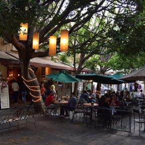 27549176728_516c2fc443_z