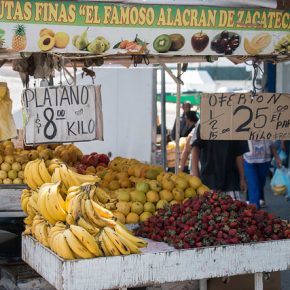 33803152650_8449af92b2_z