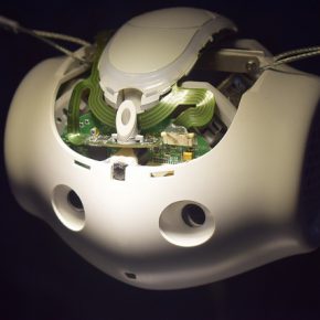 35260774714_935f54f9c5_z