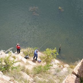 35992069296_7e0351d545_z