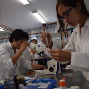 36320259014_8a163494ed_z