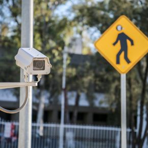 36389502486_436402d43f_z