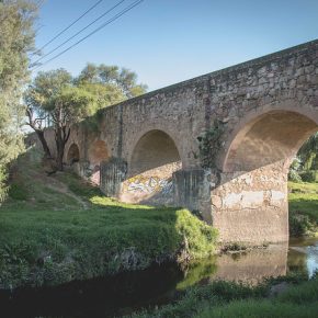 41365269835_1d98ed949d_z