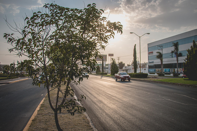 Explica regidor de Aguascalientes tardanza del Reglamento de Protección al Medio Ambiente