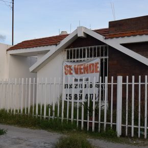 41501160250_eb7622ebef_z