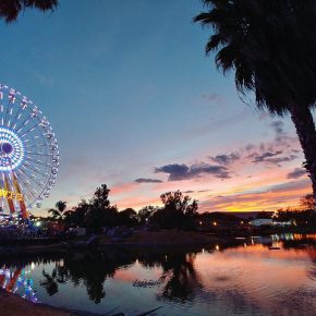 42575059911_ce48d3f141_z