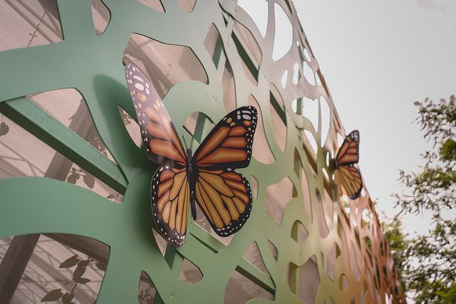 Fortalecerá la cultura ambiental de Aguascalientes el Mariposario y Orquidario del Descubre