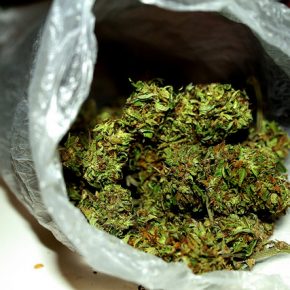 7694236276_e239c29585_z