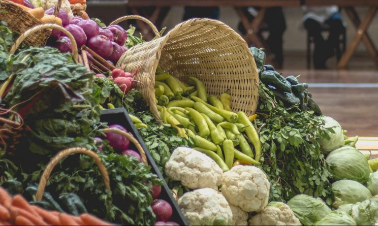 Preparan Fondo de Aseguramiento Agropecuario de Aguascaleintes