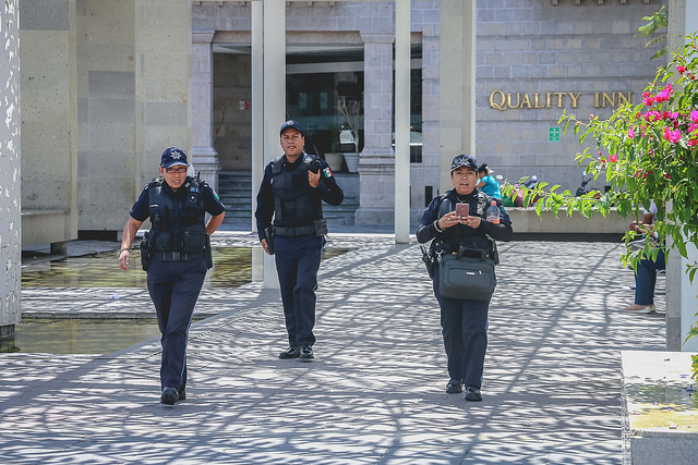 Desde hace meses, el gobierno parece haber bajado la guardia en materia de seguridad