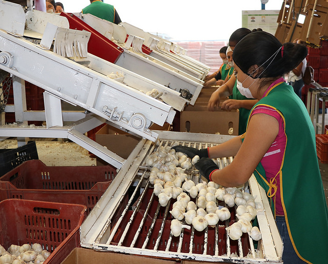 En Aguascalientes, la Tasa de Desocupacion pasó de 4.0 a 3.4 puntos