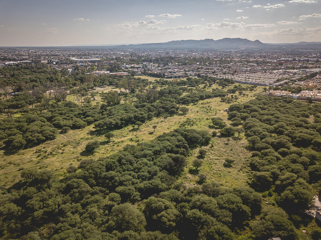 Ambientalistas de Aguascalientes piden que se proteja toda La Pona