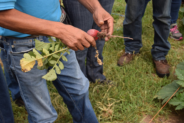 Primer taller de micro huertos en Aguascalientes
