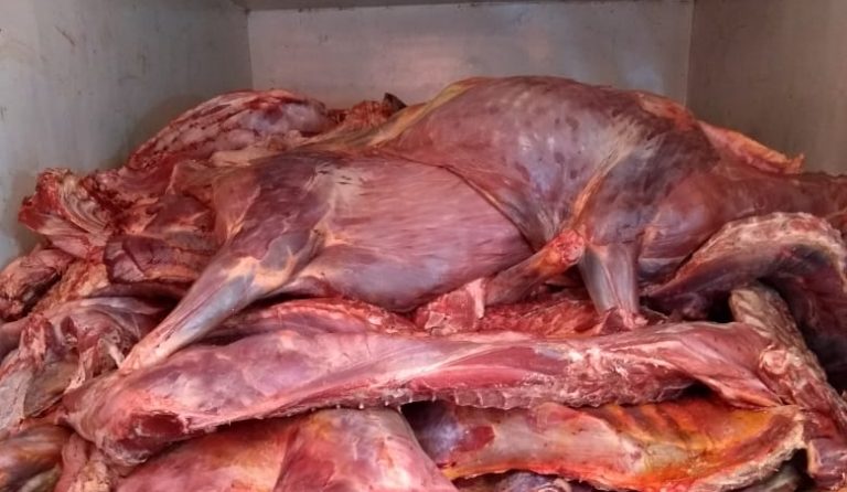 Se habrá producido más de 35 mil toneladas de carne en Aguascalientes para este 2021 
